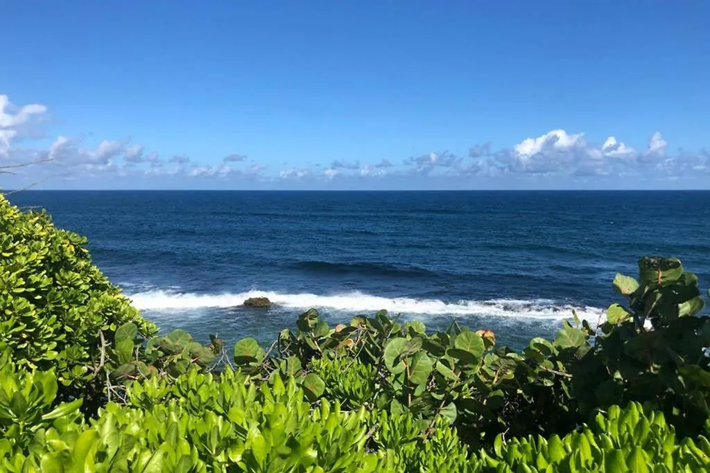 Two Bedroom Apt In Old Sj Five Min Walking From The Beach - Sevilla Court I San Juan Puerto Rico
