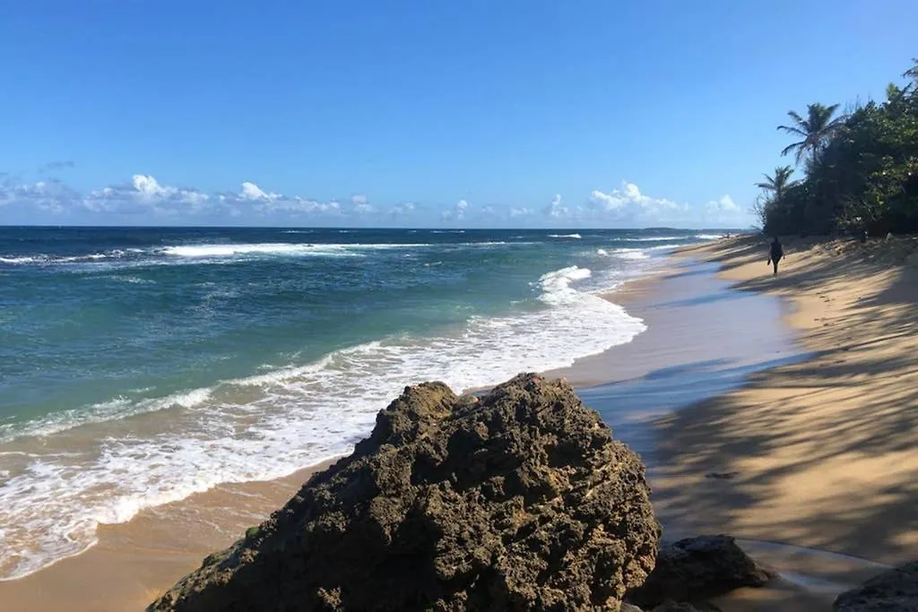 Apartment Two Bedroom Apt In Old Sj Five Min Walking From The Beach - Sevilla Court I San Juan